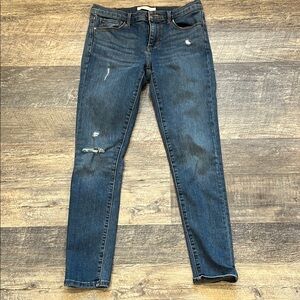 Banana Republic Blue Distressed Women Jeans